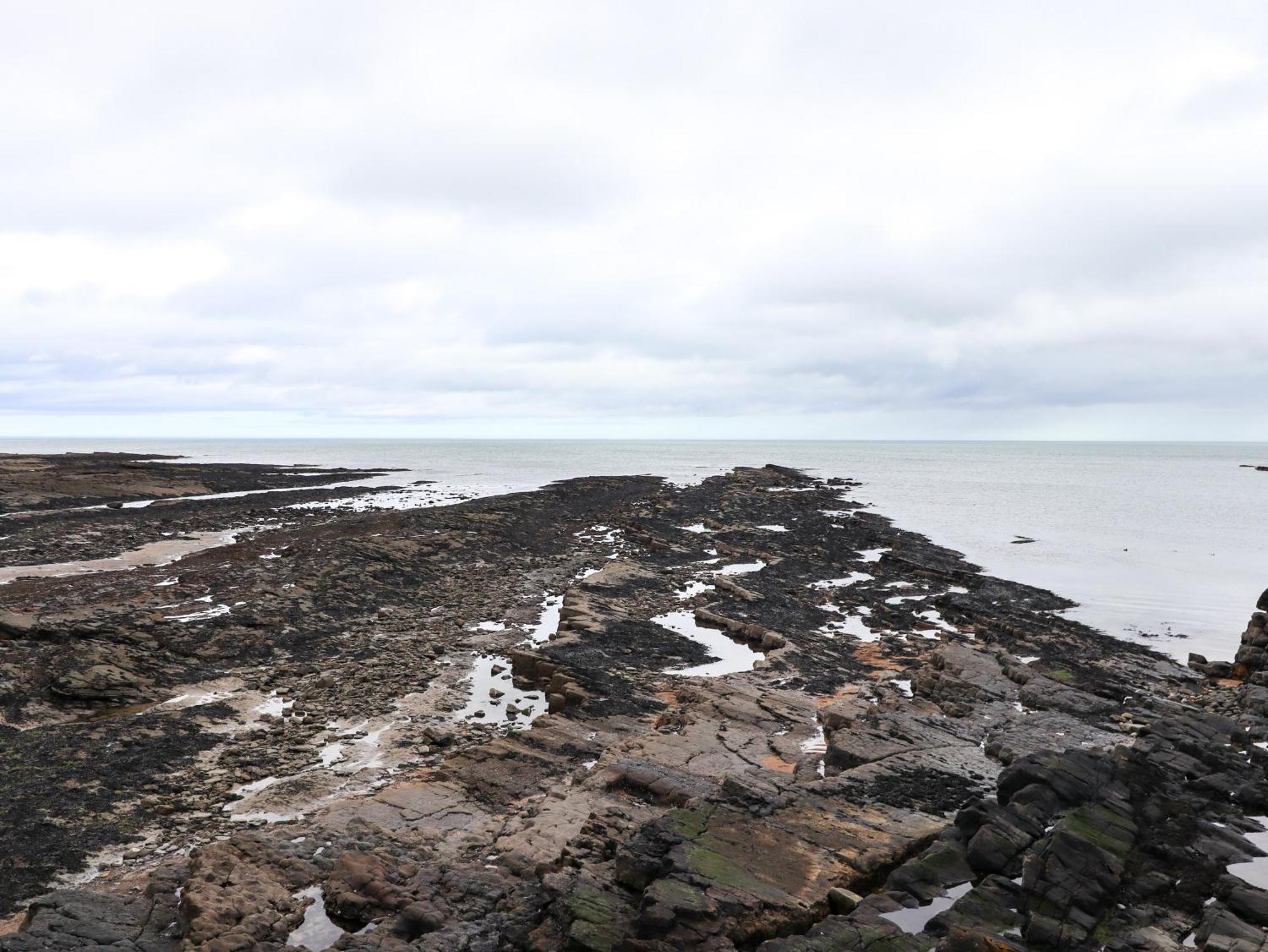 Barnacle Cove Βίλα Beadnell Εξωτερικό φωτογραφία